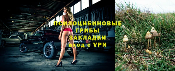 крисы Алексеевка