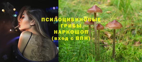 крисы Алексеевка