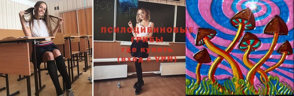 скорость Алзамай