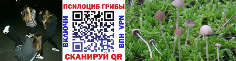 Псилоцибиновые грибы Magic Shrooms Алексеевка