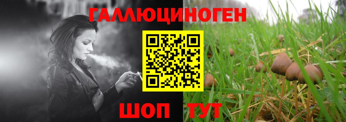 Галлюциногенные грибы прущие грибы Алексеевка